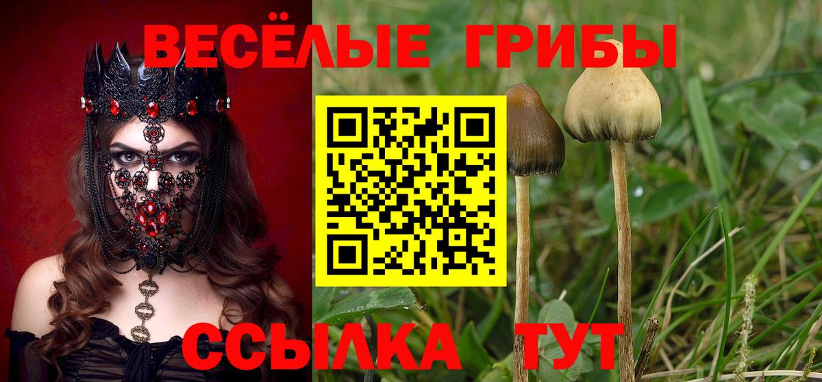 Псилоцибиновые грибы Magic Shrooms  Псилоцибиновые грибы Psilocybe  Вход с VPN  Гусиноозёрск 