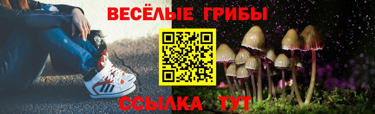 Галлюциногенные грибы прущие грибы Гусиноозёрск